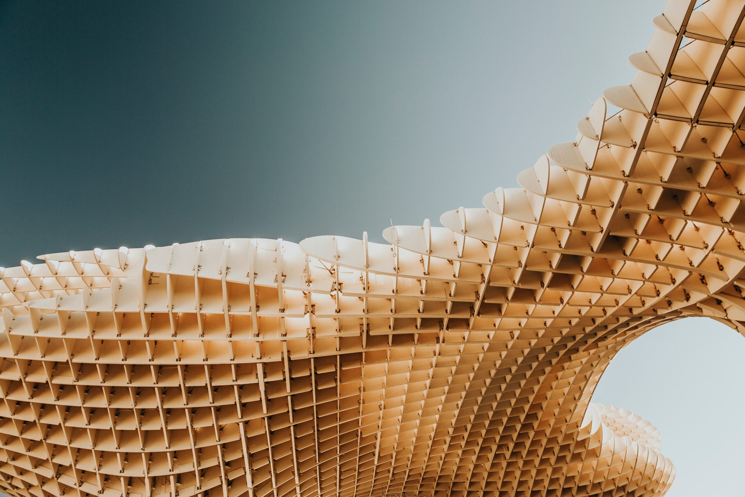 vitor-pinto-M_fFGxg8Zhk-unsplash