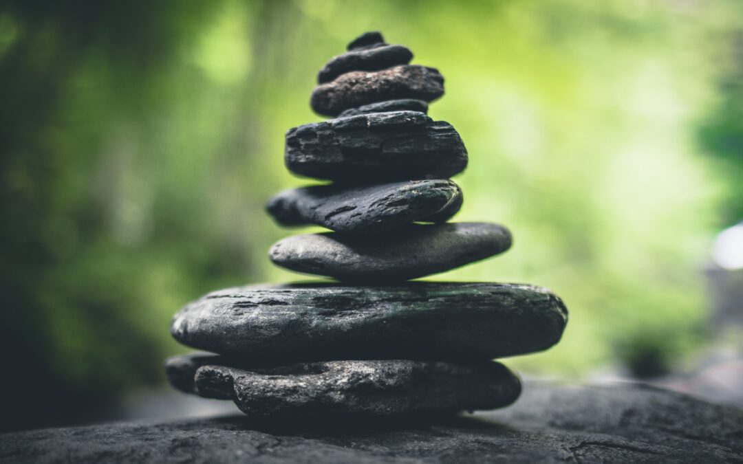 The Product Mindset
